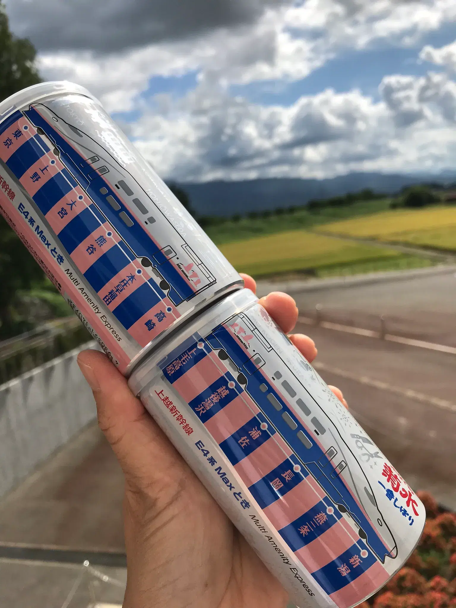 ありがとう、E4系。 10月1日ラストラン日付 新幹線Maxときデザインのふなぐち