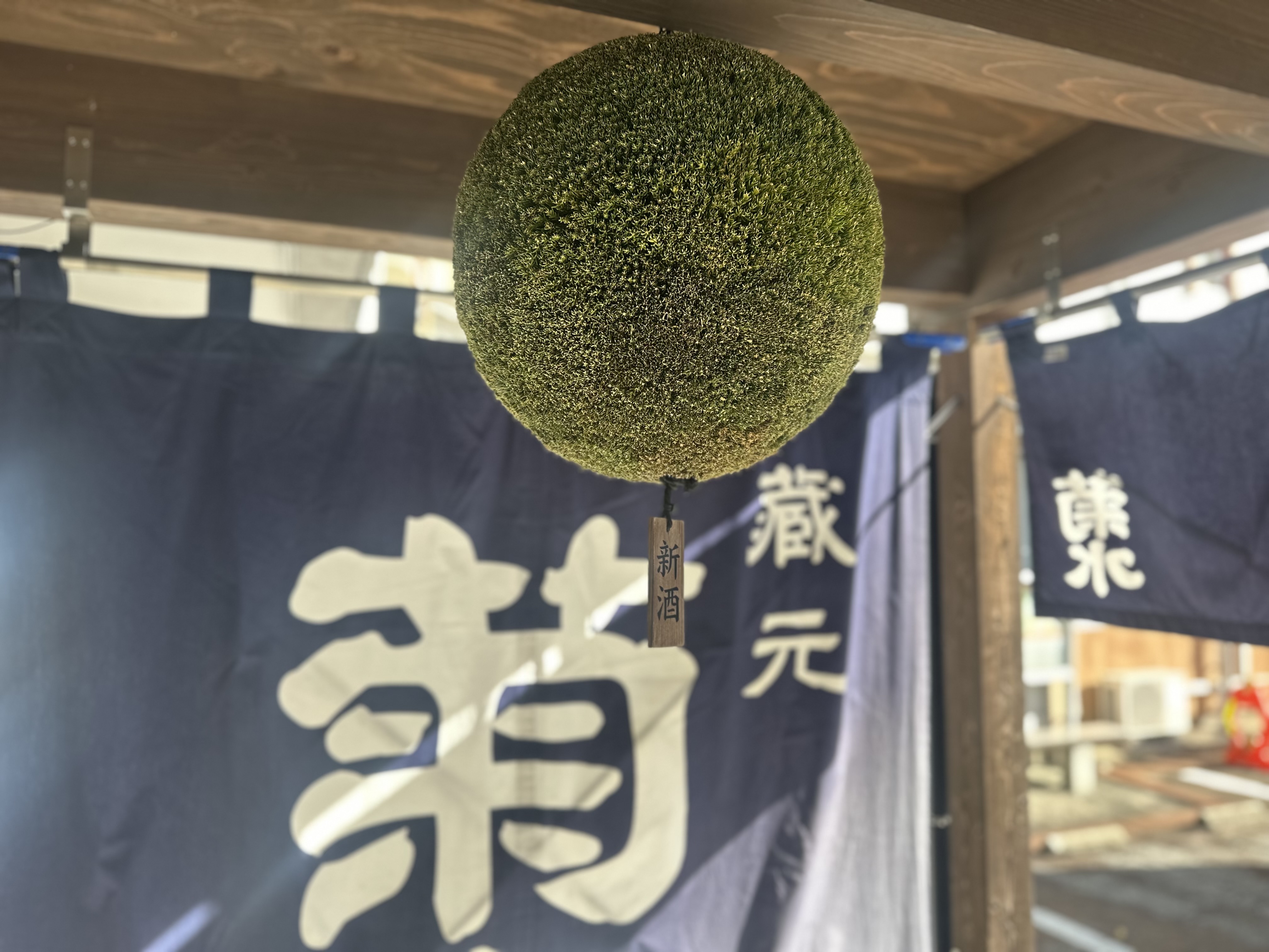 新しい杉玉へ…✨ | 採用ブログ | 菊水酒造株式会社 採用サイト